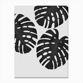 Monstera Leaf Black & White III Canvas Print