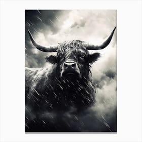 Black & White Illustration Of Highland Cow In The Rain Canvas Print
