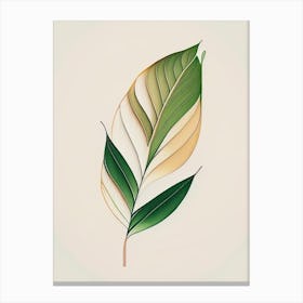 Bamboo Leaf Warm Tones Canvas Print