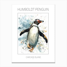 Humboldt Penguin Carcass Island Watercolour Painting 4 Poster Canvas Print