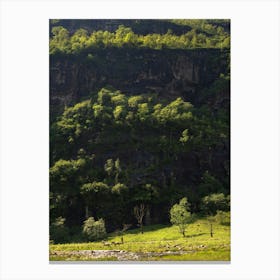 Horses In A Valley Canvas Print