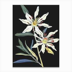 Neon Flowers On Black Edelweiss 4 Canvas Print