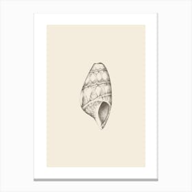 Illustration 607 'Pencil Seashell', Aga Szafranska Canvas Print