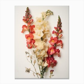 Pressed Flower Botanical Art Snapdragon 4 Canvas Print