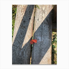 Flower On A Bench Canvas Print