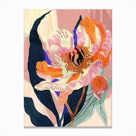 Colourful Flower Illustration Peony 1 Canvas Print