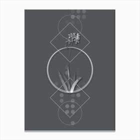 Vintage Corn Lily Botanical with Line Motif and Dot Pattern in Ghost Gray n.0362 Canvas Print