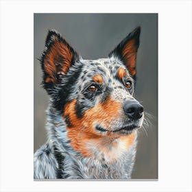 Australian Shepherd Dog  Acrylic Painting 9 Canvas Print