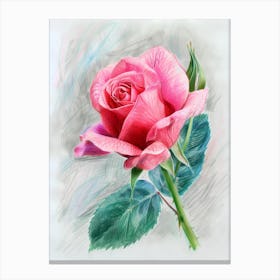 Pink Rose 1 Canvas Print