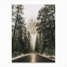 Forest Road Canvas Print