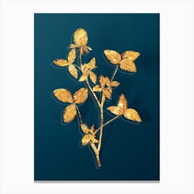 Vintage Pink Clover Botanical in Gold on Teal Blue n.0017 Canvas Print