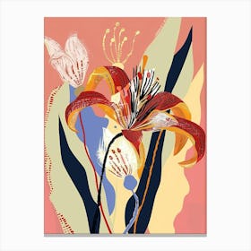Colourful Flower Illustration Kangaroo Paw Flower 1 Canvas Print