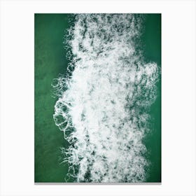 From The Sea Canvas Print
