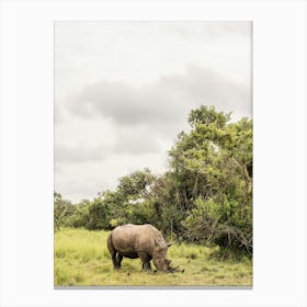 Rhino Grazing In Africa Canvas Print