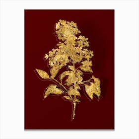 Vintage Chinese Lilac Botanical in Gold on Red n.0499 Canvas Print