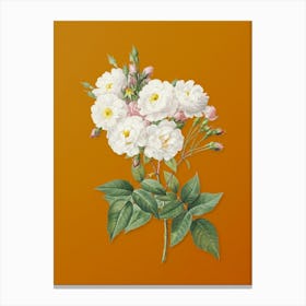Vintage Noisette Roses Botanical on Sunset Orange n.0035 Canvas Print
