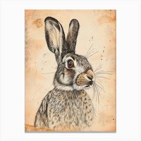 English Spot Blockprint Rabbit Illustration 6 Canvas Print