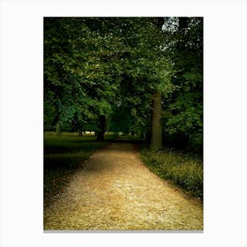 Kongens Dyrhave near Copenhagen tree tunnel Canvas Print