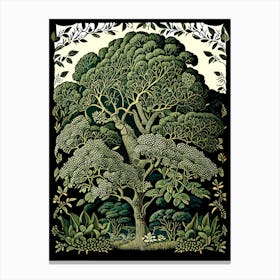 Atherton Tableland S Curtain Fig Tree, Australia Vintage Botanical Canvas Print