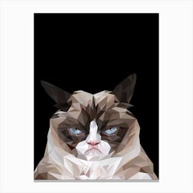 Grumpy Cat meme Canvas Print