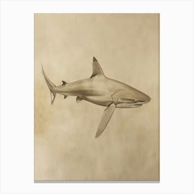 Greenland Shark Vintage Illustration 4 Canvas Print