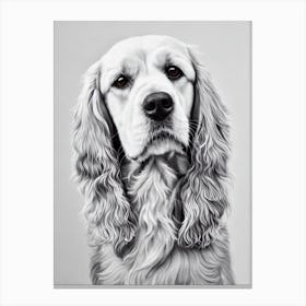 Cocker Spaniel B&W Pencil dog Canvas Print