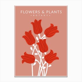 Red Flowers Botany Canvas Print