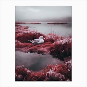 Red Seagull Canvas Print