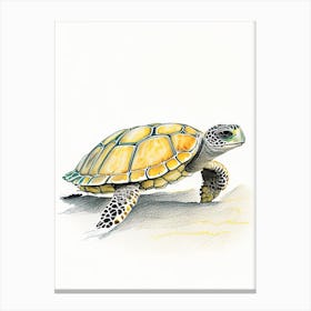 Hawksbill Sea Turtle (Eretmochelys Imbricata), Sea Turtle Pencil Illustration 1 Canvas Print