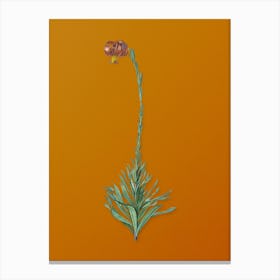 Vintage Scarlet Martagon Lily Botanical on Sunset Orange n.0686 Canvas Print