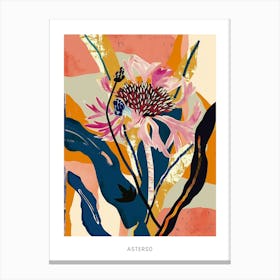 Colourful Flower Illustration Poster Asters 10 Canvas Print