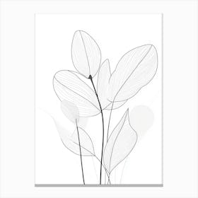 Lily Of The Valley 5 Canvas Print