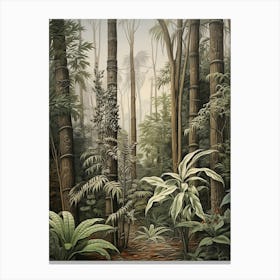 Vintage Jungle Botanical Illustration Bamboo 3 Canvas Print
