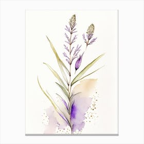 Psyllium Herb Minimalist Watercolour 3 Canvas Print