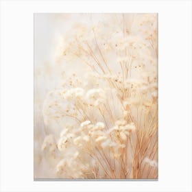 Boho Dried Flowers Babys Breath 4 Canvas Print