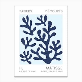 Matisse 25 Canvas Print