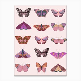 Pink Butterflies Canvas Print