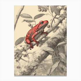 Red Tree Frog Vintage Botanical 7 Canvas Print