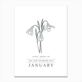 January Snowdrop Birth Flower 2 Canvas Print