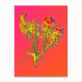 Neon Garland Flowers Botanical in Hot Pink and Electric Blue n.0314 Canvas Print