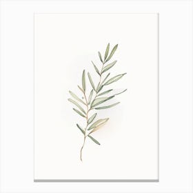 Summer Savory Leaf Minimalist Watercolour Canvas Print
