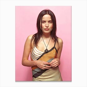 the Corrs Canvas Print