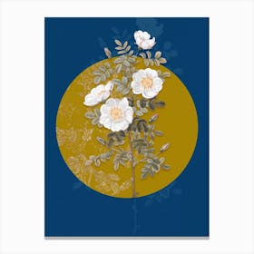 Vintage Botanical White Burnet Roses on Circle Yellow on Blue Canvas Print