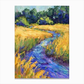 Stream In The Grass Canvas Print