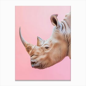 Rhinoceros 6 Canvas Print