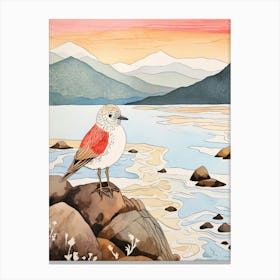 Bird Illustration Dunlin 4 Canvas Print