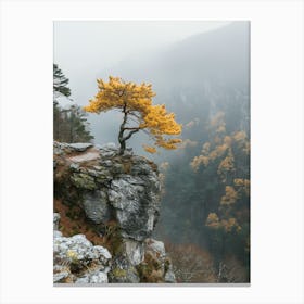 Single Tree On A Cliff Canvas Print