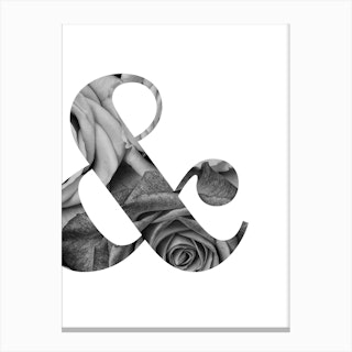 Ampersand Roses Canvas Print