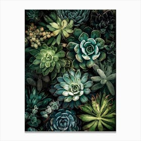 Succulents and cacti nature botany art Canvas Print