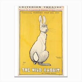 The Wild Rabbit Canvas Print